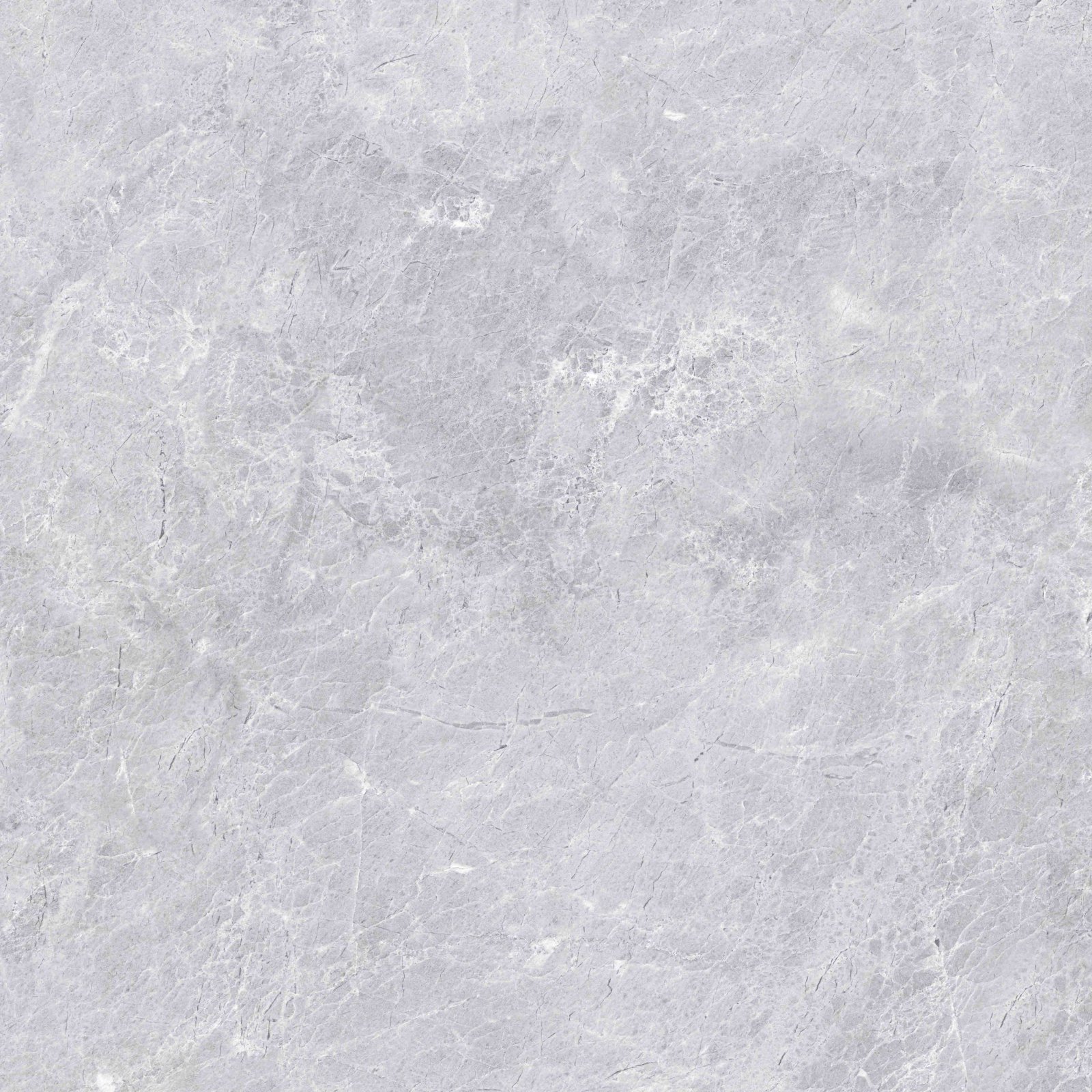 Platinum Dolomite Grey 50x50